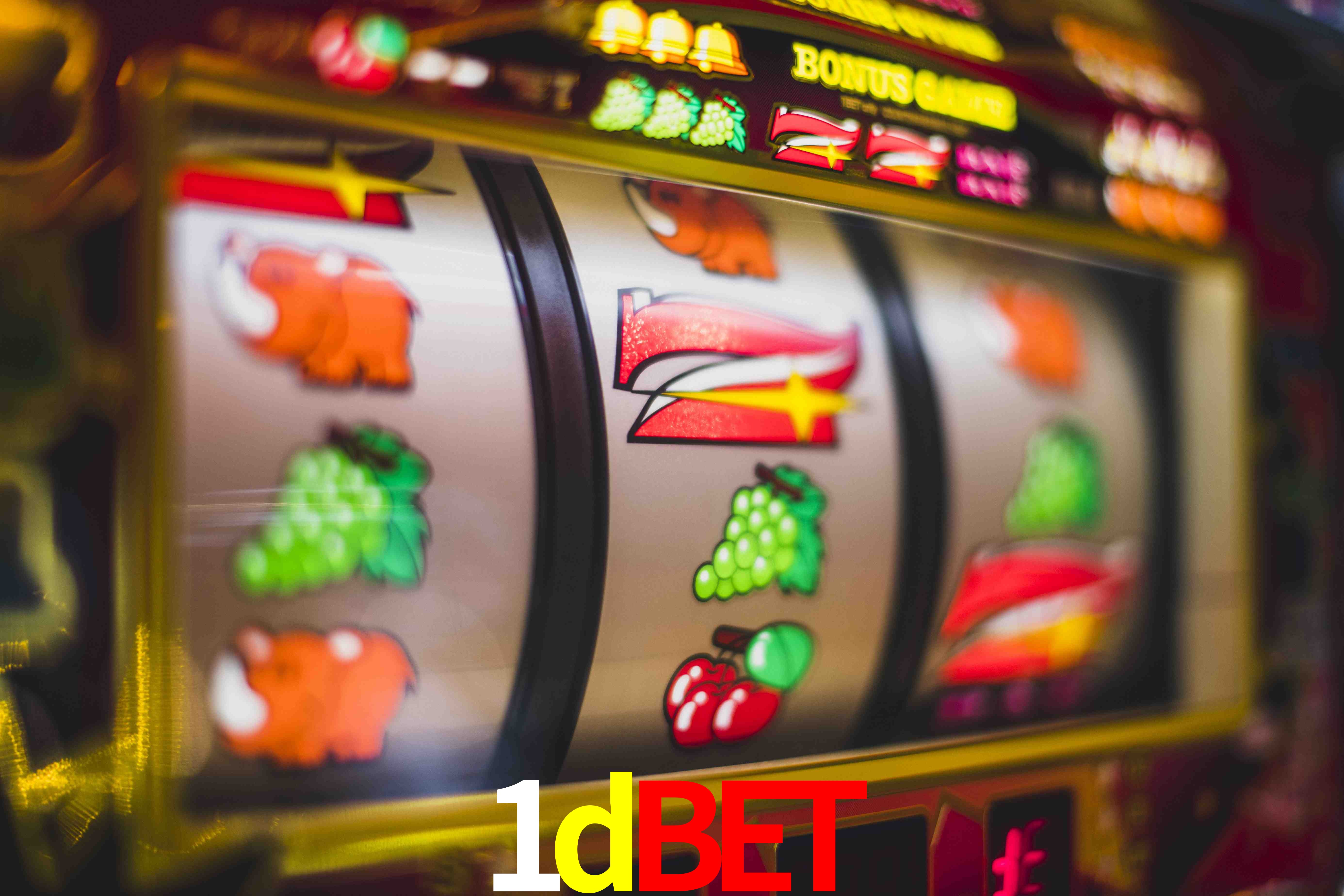 Sports Statistics 1dbet